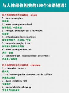 与人体部位相关的100个法语短语！